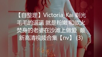 【自整理】Victoria_Kai 剃光毛毛的逼逼 就是粉嫩 和欲火焚身的老婆在沙滩上做爱  最新高清视频合集【nv】 (3)