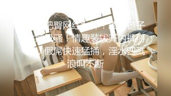 麻豆&amp;兔子先生  TZ055 秘密女搜查官 中野惠子