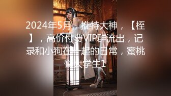 麻豆傳媒 MCY0244 阿sir用肉棒解決夫妻失和 玥可嵐