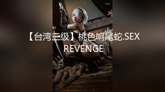 【台湾三级】桃色响尾蛇.SEX REVENGE