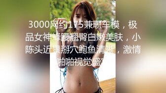 小宝寻花 探花 反差 巨乳 极品 清纯 外围 女神 胸大 臀翘 高清 录制 可以色色 kyssavzz