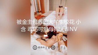 91新人xh98hx新作-极品美乳南航空姐情人节约操沙发上被情人各式爆插，淫叫，使劲操，快点干，