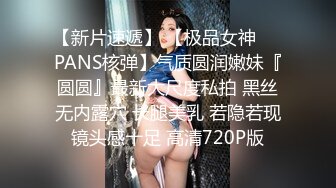 【新片速遞】 【极品女神❤️PANS核弹】气质圆润嫩妹『圆圆』最新大尺度私拍 黑丝无内露穴 长腿美乳 若隐若现镜头感十足 高清720P版