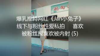 爆乳推特网红《Jan小兔子》线下与粉丝性爱私拍❤️喜欢被粉丝操喜欢被内射 (5)