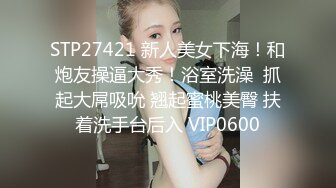 星空无限传媒 XKG046 偷偷下药迷奸巨乳空姐 #仙儿媛