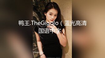 鸭王.TheGigolo（蓝光高清国语中字）