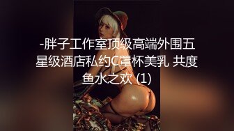 -胖子工作室顶级高端外围五星级酒店私约C罩杯美乳 共度鱼水之欢 (1)