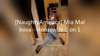 [NaughtyAmerica] Mia Malkova - Housewife 1 on 1