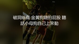 破洞絲襪 金黃狗鏈拍屁股 聽話小母狗自己上來動