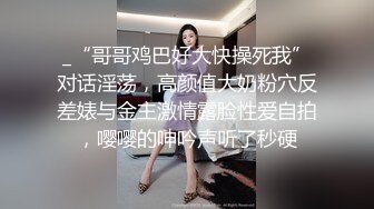 长龙铁哥精品大片-番号HS-03性感黑丝情趣装丰满美女同事被后插操的受不了说插的我高潮了!