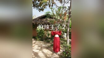 麻豆傳媒 MDHT0019 奇淫旅社 碰瓷不成反被操 苡若