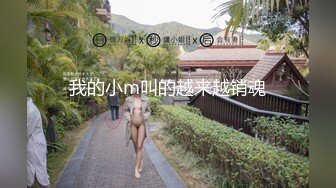 密友.第一集.精东影业