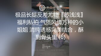 极品长腿反差尤物〖苏浅浅〗福利私拍 气质风情万种的小姐姐 清纯诱惑完美结合，酥到骨头里 (6)