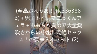 (至高ぷれみあ！)(fc3363883)＋男子トイレでごっくんフェラ＋おもちゃ責めで大量潮吹きからの中出し悶絶セックス！の豪華３本セット (2)