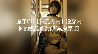 魔手CD【精品无内】没穿内裤的极品靓女郎[某房原版]