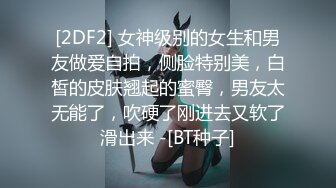 [2DF2] 女神级别的女生和男友做爱自拍，侧脸特别美，白皙的皮肤翘起的蜜臀，男友太无能了，吹硬了刚进去又软了滑出来 -[BT种子]