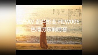 国产AV 葫芦影业 HLW006 色情房东俏房客