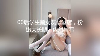 【AI换脸视频】那英 性感空姐的私下服务