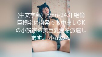 (中文字幕) [hmn-243] 絶倫巨根宅に何発でも中出しOKの小説家の美巨乳妻を派遣します。 小花のん