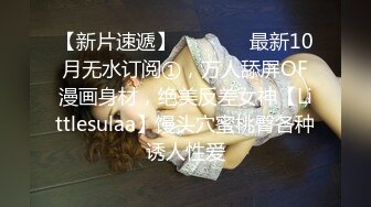 [2DF2] 麻豆传媒映画女优面试员轻熟女优-苏娅 高清精彩推荐 [BT种子]