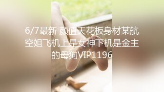 6/7最新 颜值天花板身材某航空姐飞机上是女神下机是金主的母狗VIP1196