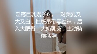 麻豆傳媒 BLX0045 青梅竹馬感情升溫 艾秋