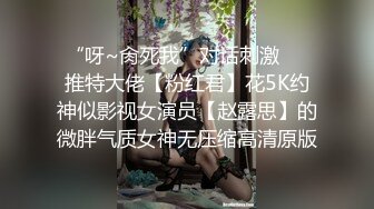 “呀~肏死我”对话刺激⚫️推特大佬【粉红君】花5K约神似影视女演员【赵露思】的微胖气质女神无压缩高清原版