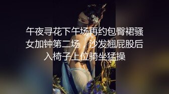 午夜寻花下午场再约包臀裙骚女加钟第二场，沙发翘屁股后入椅子上位骑坐猛操