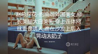 赵总探花-约高端外围美女,修长美腿大白美乳,穿上连体网袜更是诱人,跪在沙发上后入晃动大奶子