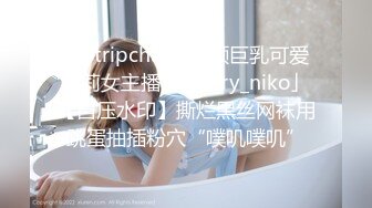 【Stripchat】童颜巨乳可爱萝莉女主播「sherry_niko」【自压水印】撕烂黑丝网袜用跳蛋抽插粉穴“噗叽噗叽”