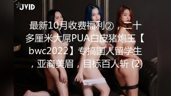 11/26最新 大屌爆菊双洞齐开后入视角爆操好色尤物VIP1196