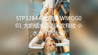 MDWP-0022情欲解放的卫生隔间-林襄