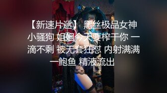 极品女秘书