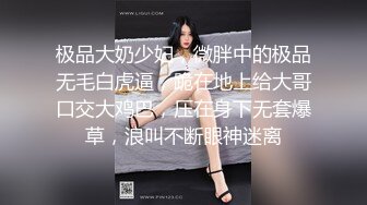 （下面巨乳大学生的联系方式和完整版）大屌操巨乳大学生