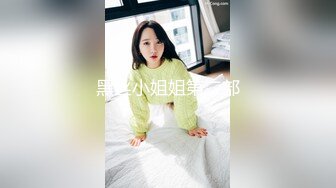 黑丝小姐姐第二部