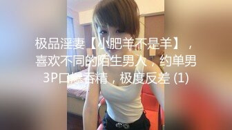 极品淫妻【小肥羊不是羊】，喜欢不同的陌生男人，约单男3P口爆吞精，极度反差 (1)