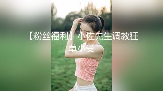 探花小队另类玩法SM调教美臀小姐姐，换上女仆装翘起美臀，肛塞尾巴小皮鞭，后入大屁股一下下撞击