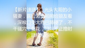 HEYZO 1452 性悪ギャルに卑猥なお仕置き～無礼なビッチを荒療治～ – 今野杏美南