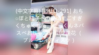 (中文字幕) [PRED-351] わたしの疼きをだれか静めて… 誰と体を重ねても満たされない私は、今日も初めて出会った男と快楽だけの中出しセックスをする。 山岸逢花