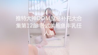 推特大神DOM窒息补充大合集第12部 各式美鲍鱼丰乳任人草