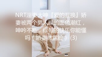 onlyfans淫妻绿帽【swingdog】 约单男3p啪啪 无套输出最新合集【496V】 (486)