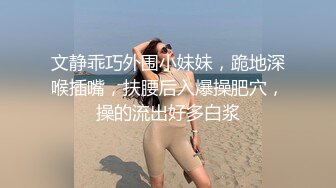 文静乖巧外围小妹妹，跪地深喉插嘴，扶腰后入爆操肥穴，操的流出好多白浆