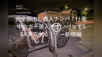 完全顔出し素人ナンパ！仕事中のガチ美人をナンパしてSEXまでヤる！！～新宿編