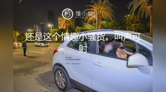 爱豆传媒 ID-5276《载客顺风车》老婆失身车被卖人才两空-琳怡