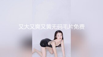 又大又爽又黄无码毛片免费