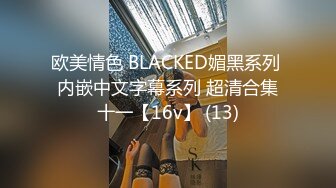 欧美情色 BLACKED媚黑系列 内嵌中文字幕系列 超清合集十一【16v】 (13)