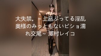 大失禁。～上品ぶってる淫乱奥様のみっともないビショ濡れ交尾～ 澤村レイコ