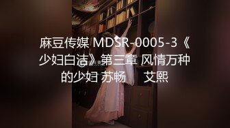 麻豆传媒 MDSR-0005-3《少妇白洁》第三章 风情万种的少妇 苏畅❤️艾熙