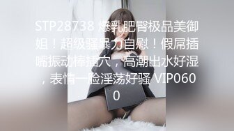 STP28738 爆乳肥臀极品美御姐！超级骚暴力自慰！假屌插嘴振动棒插穴，高潮出水好湿，表情一脸淫荡好骚 VIP0600