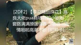 究极反差骚婊！推特极品女神气质御姐【粉红色海豚】最新订阅，有钱人的性玩物无套啪啪捣白浆 (7)